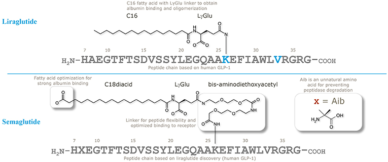 The Discovery and Development of Liraglutide and Semaglutide
